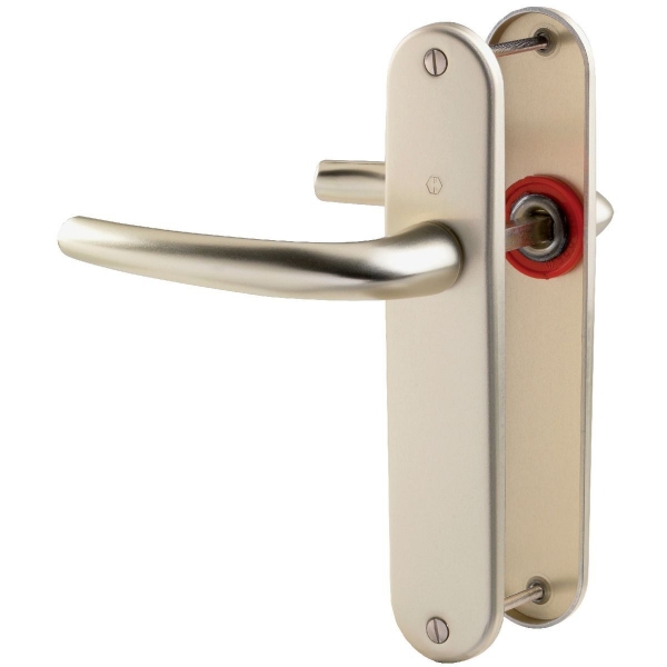 Ensemble San Diego grand model type bec de cane finition F2 alu aspect champagne - HOPPE - 3559758