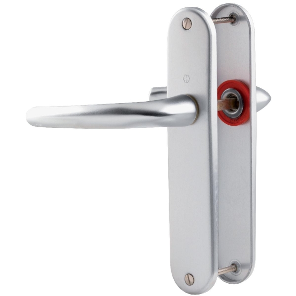 Ensemble San Diego grand model type bec de cane finition F1 alu aspect argent - HOPPE - 3559731