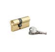 THIRARD - Cylindre à clé crantée 25 x 40 mm laitonné 3 clés