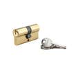THIRARD - Cylindre à clé crantée 30 x 30 mm laitonné 3 clés