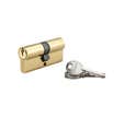 THIRARD - Cylindre à clé crantée 35 x 35 mm laitonné 3 clés