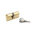 THIRARD - Cylindre à clé crantée 35 x 45 mm laitonné 3 clés