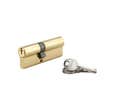 THIRARD - Cylindre à clé crantée 35 x 50 mm laitonné 3 clés