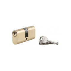 THIRARD - Cylindre à clé crantée ovale 28x28mm 3 clés