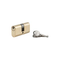 THIRARD - Cylindre à clé crantée ovale 28x28mm 3 clés 5