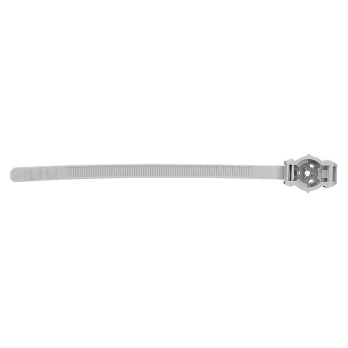 Embase plastique Tie-Clip 16 à 32 mm de diamètre en boite de 100 - SPIT - 565844 0