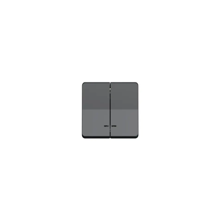 bouton poussoir - led - double - gris - composable - schneider electric mur35228 1
