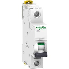Schneider Electric A9F92102 A9F92102 Disjoncteur 2 A 230 V 0