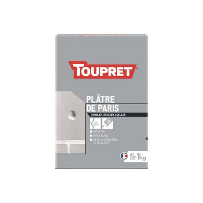 Plâtre de paris TOUPRET - Poudre - 1Kg - BCPLA01