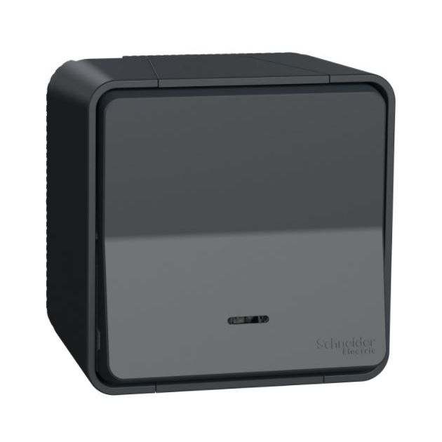 Bouton-poussoir MUREVA gris - SCHNEIDER ELECTRIC - ENN35626