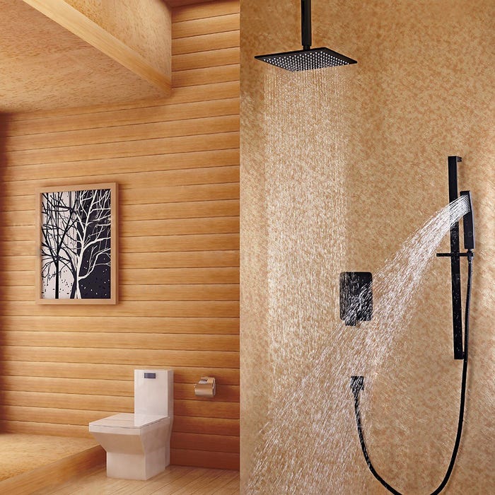 Tête de douche à fixation au plafond et système de douchette à glissière en noir 250 mm 1