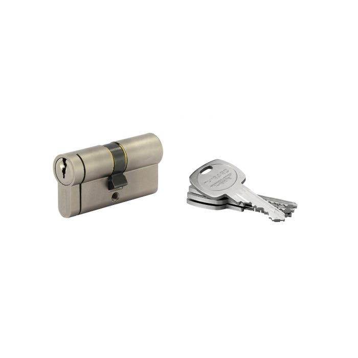 THIRARD - Cylindre de serrure double entrée HG5+, 30x30mm, nickel, anti-arrachement, anti-perçage, anti-casse, 5 clés 0
