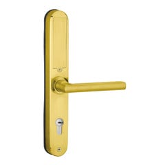 INTELOCK - Paire de poignées connectées Intelock Multi, pour porte d'entrée, entr'axes 85mm, doré 2