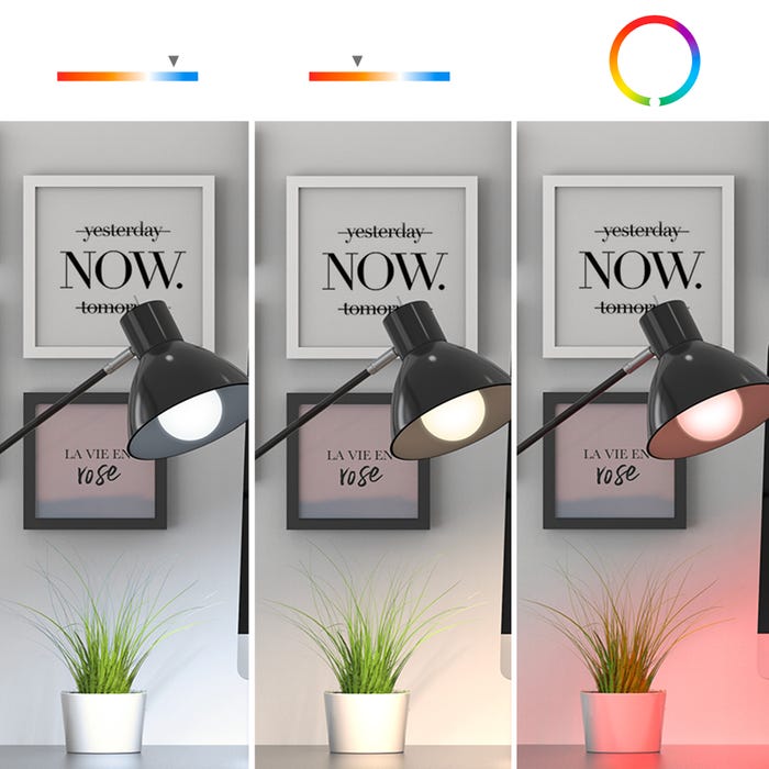 Home Light Ampoule connectée Google Home et Alexa avec variation de couleurs - Avidsen 3