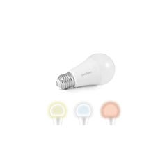Home Light Ampoule connectée Google Home et Alexa avec variation de couleurs - Avidsen 6