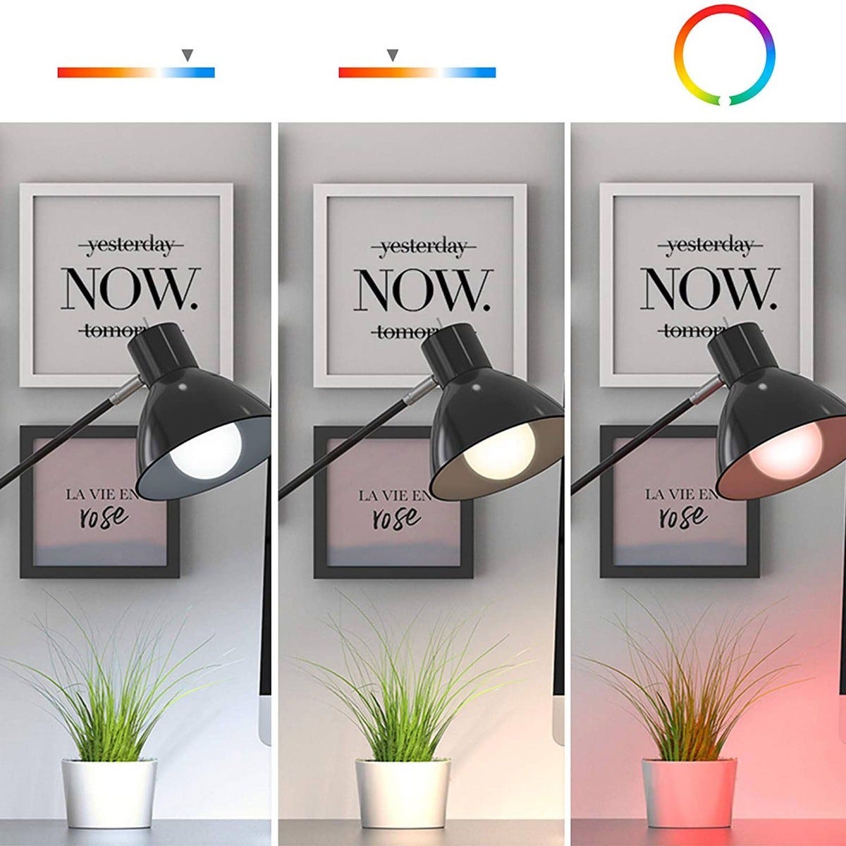 Home Light Ampoule connectée Google Home et Alexa avec variation de couleurs - Avidsen 1