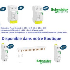 Schneider Electric S260206 OVALIS BOUTON POUSSOIR plus PLAQUE 4