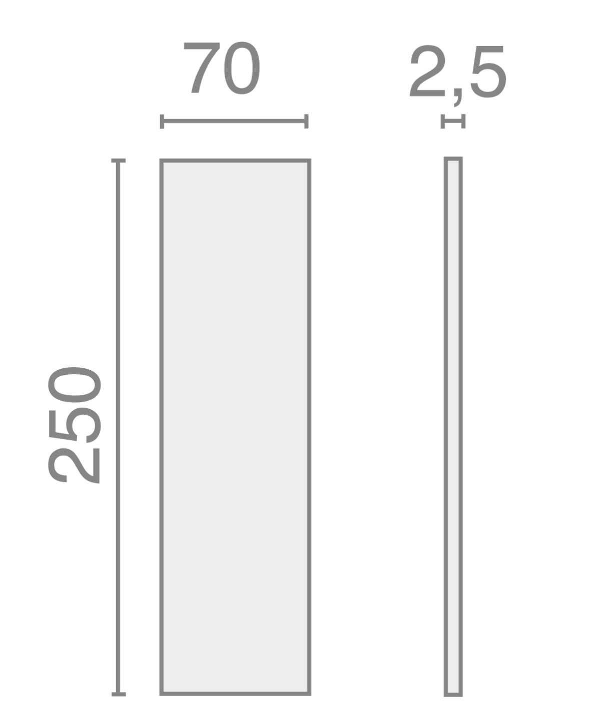 Plaque de poussée aluminium argent 250 x 70 x 2 mm - HERACLES - I-231104