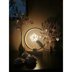 Girard Sudron Ampoule Silhouette 'Étoile' Filament LED 8W 0