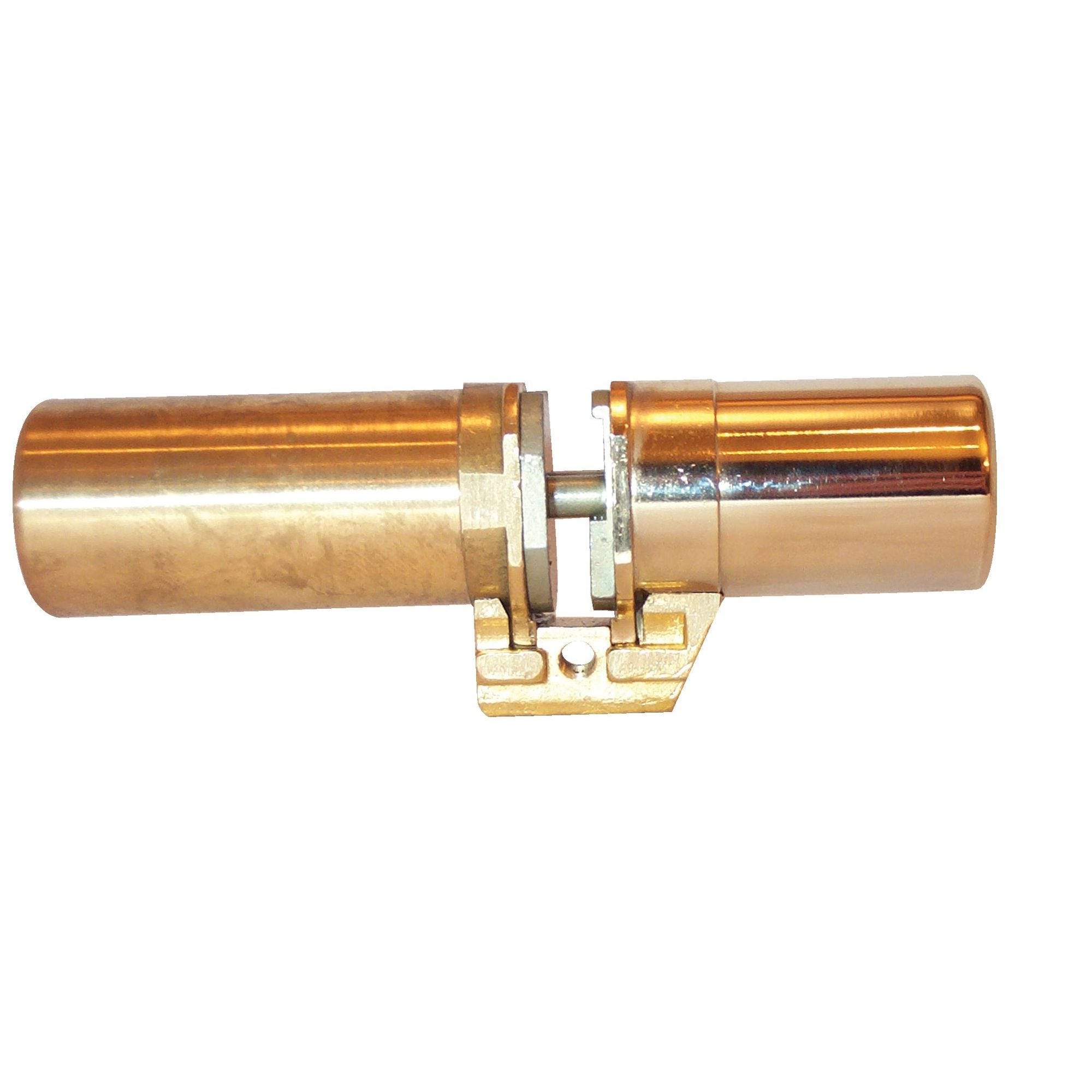 Cylindre monobloc A2P1* Vertipoint T 787 doré - FICHET - 75005720 0