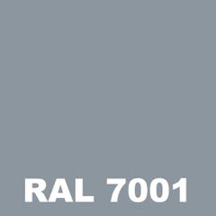 Peinture Batiment - Metaltop - Gris argent - RAL 7001 - Pot 25L 1