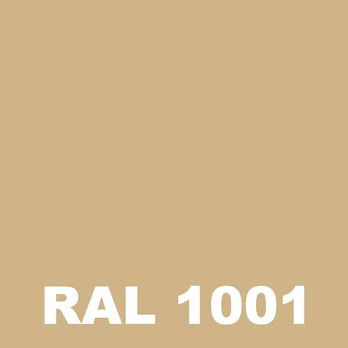 Peinture Mur Exterieur - Metaltop - Beige - RAL 1001 - Pot 20L 1