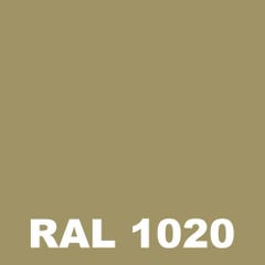 Peinture Mur Exterieur - Metaltop - Jaune olive - RAL 1020 - Pot 5L 1