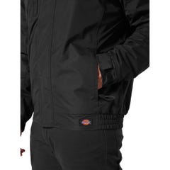 Veste de tous les jours AWT Noir - Dickies - Taille XL 4