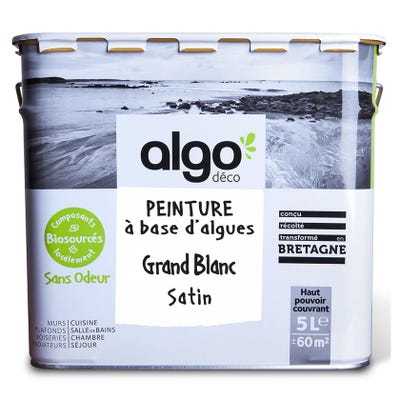 Peinture saine Algo - Grand Blanc - Satin - 5L