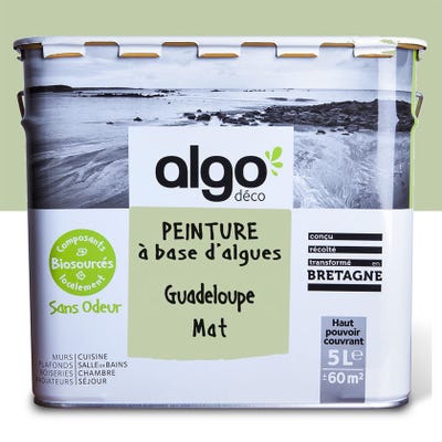 Peinture saine Algo - Vert Guadeloupe - Mat - 5L