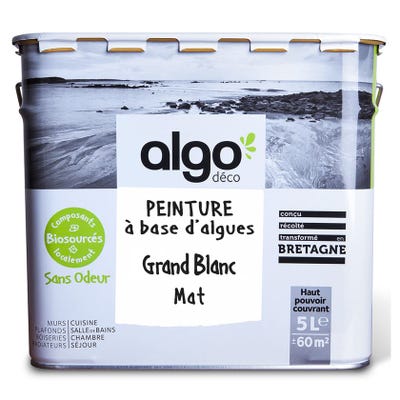 Peinture saine Algo - Grand Blanc - Mat - 5L