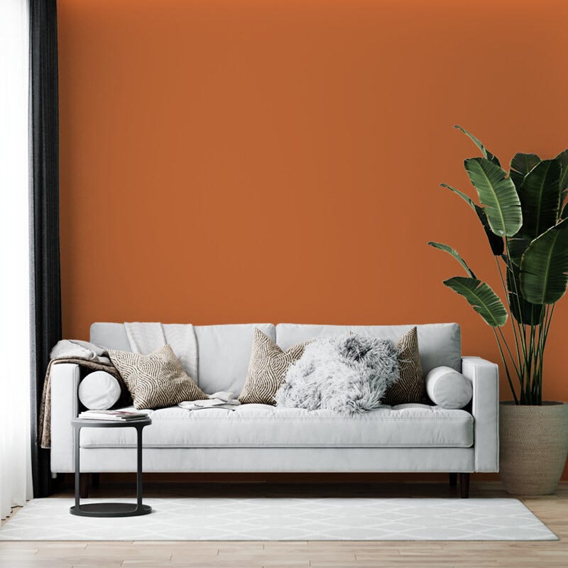 Peinture biosourcée et dépolluante murs et plafonds, Orange Cornaline, Velours, 12L COLIBRI 3