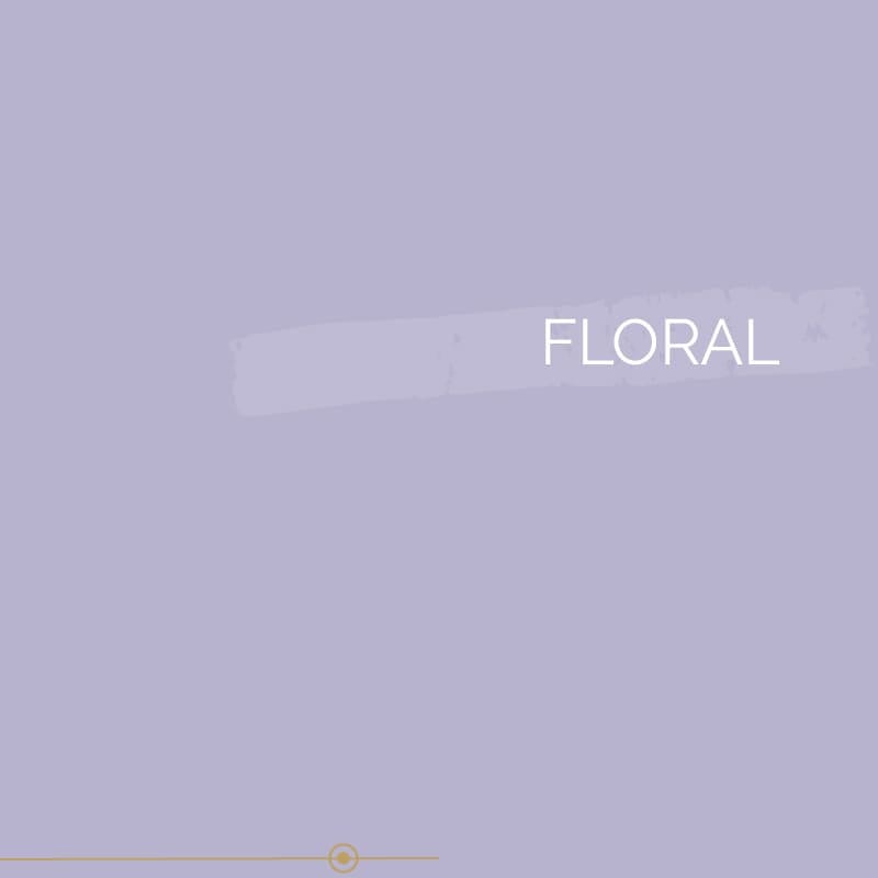 Peinture biosourcée murs et plafonds, Violet Floral, Velours, 1L, COLIBRI 2