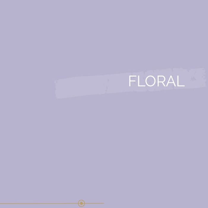 Peinture biosourcée et dépolluante murs et plafonds, Violet Floral, Velours, 3L COLIBRI 2