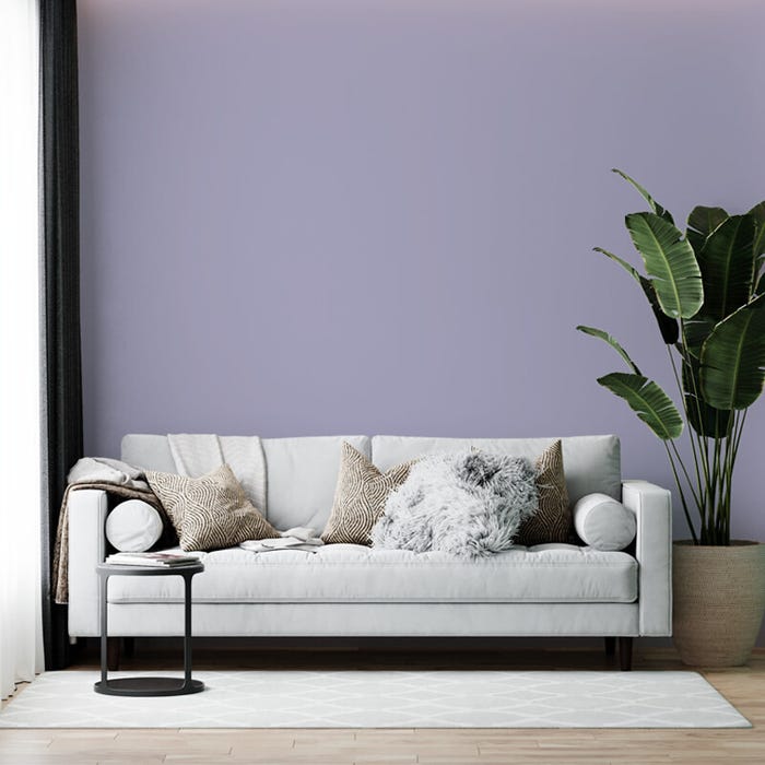 Peinture biosourcée et dépolluante murs et plafonds, Violet Floral, Velours, 3L COLIBRI 3