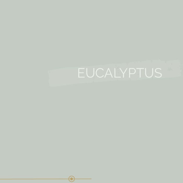 Peinture murs et plafonds biosourcée et dépolluante Eucalyptus Velours 3L, COLIBRI 2