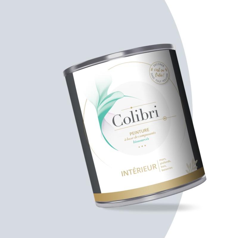 Peinture Intérieure Dépolluante - Murs, Plafonds et Bois - Glacier - 1L Velours