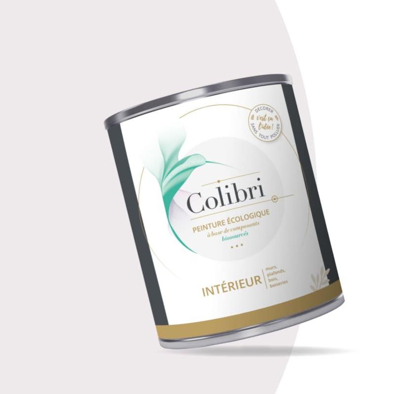 Peinture Intérieure - Murs, Plafonds et Bois - Céramine - 3L Velours