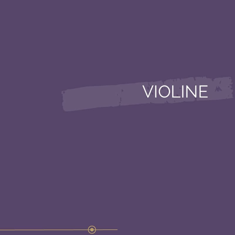 Peinture biosourcée murs et plafonds, Violet Violine, Velours, 12L, COLIBRI 2