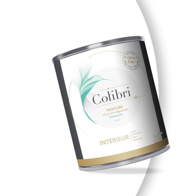 Peinture Intérieure - Murs, Plafonds et Bois - Blanc - 1L Velours