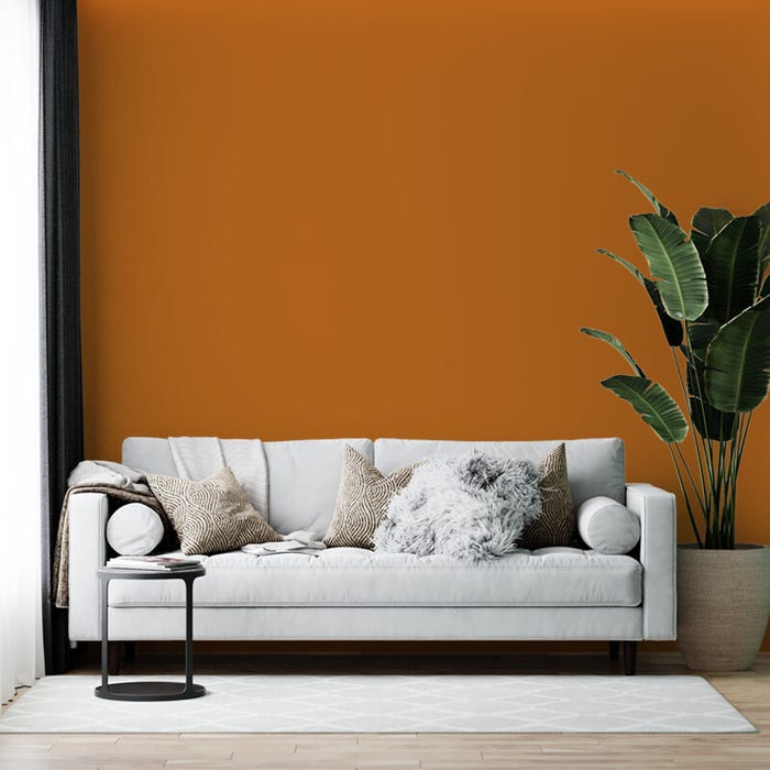 Peinture biosourcée murs et plafonds, Orange Linotte, Velours, 12L, COLIBRI 3