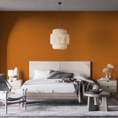 Peinture biosourcée murs et plafonds, Orange Linotte, Velours, 12L, COLIBRI 4