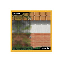Pack Traitement et Protection SIKA - Sikagard-120 Stop Vert 5L - Sikagard-221 Protecteur Facade 5L 4