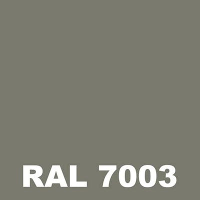 Peinture Sol Industriel - Metaltop - Gris mousse - RAL 7003 - Pot 5L 1