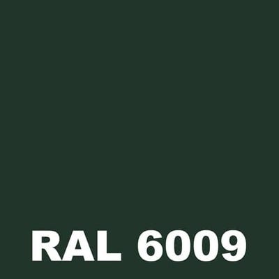 Peinture Sol Industriel - Metaltop - Vert sapin - RAL 6009 - Pot 25L 1