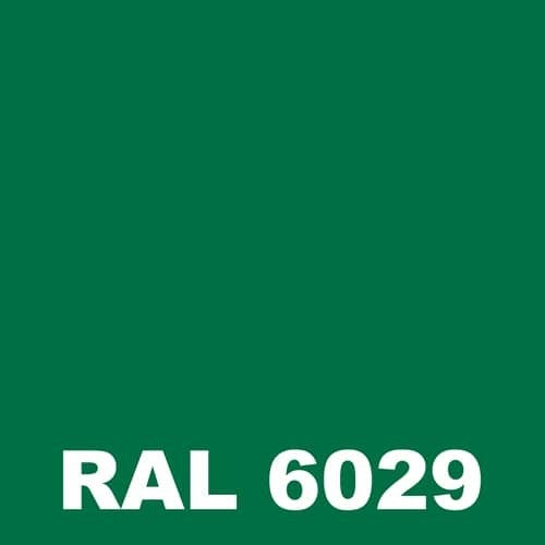 Peinture Temperature - Metaltop - Vert menthe - RAL 6029 - Pot 25L 1