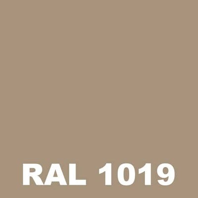 Peinture Industrielle - Metaltop - Beige gris - RAL 1019 - Bombe 400mL
