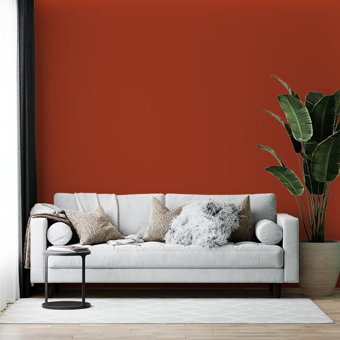 Peinture biosourcée murs et plafonds, Orange Coquelicot, Mate, 12L, COLIBRI 3
