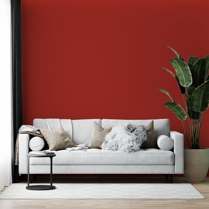 Peinture biosourcée et dépolluante murs et plafonds, Rouge Cadmium, Mate, 12L COLIBRI 3