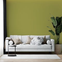 Peinture murs et plafonds biosourcée et dépolluante Vert Aglandau Mate 3L, COLIBRI 3